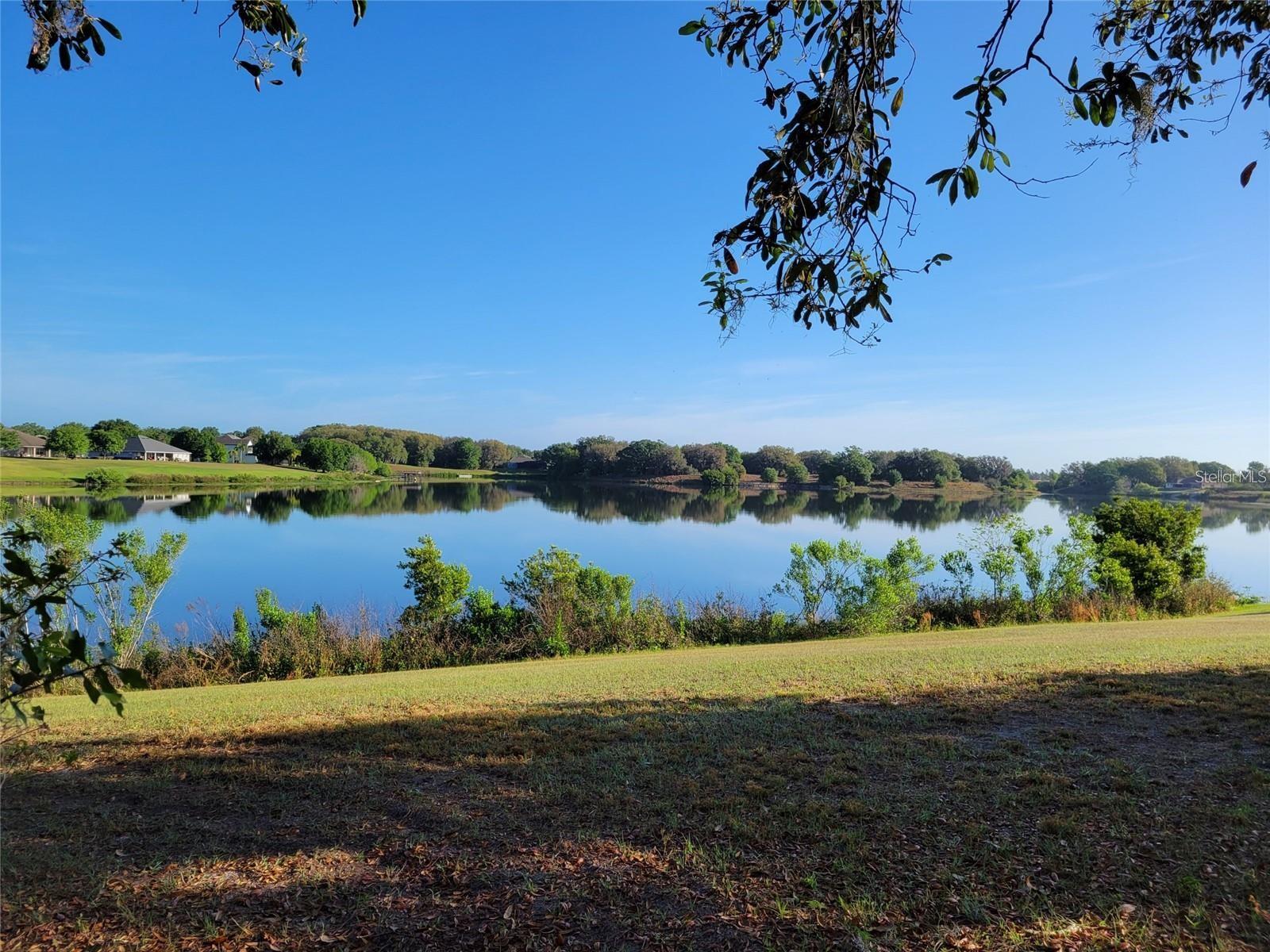 36717 Barrington Drive, FL