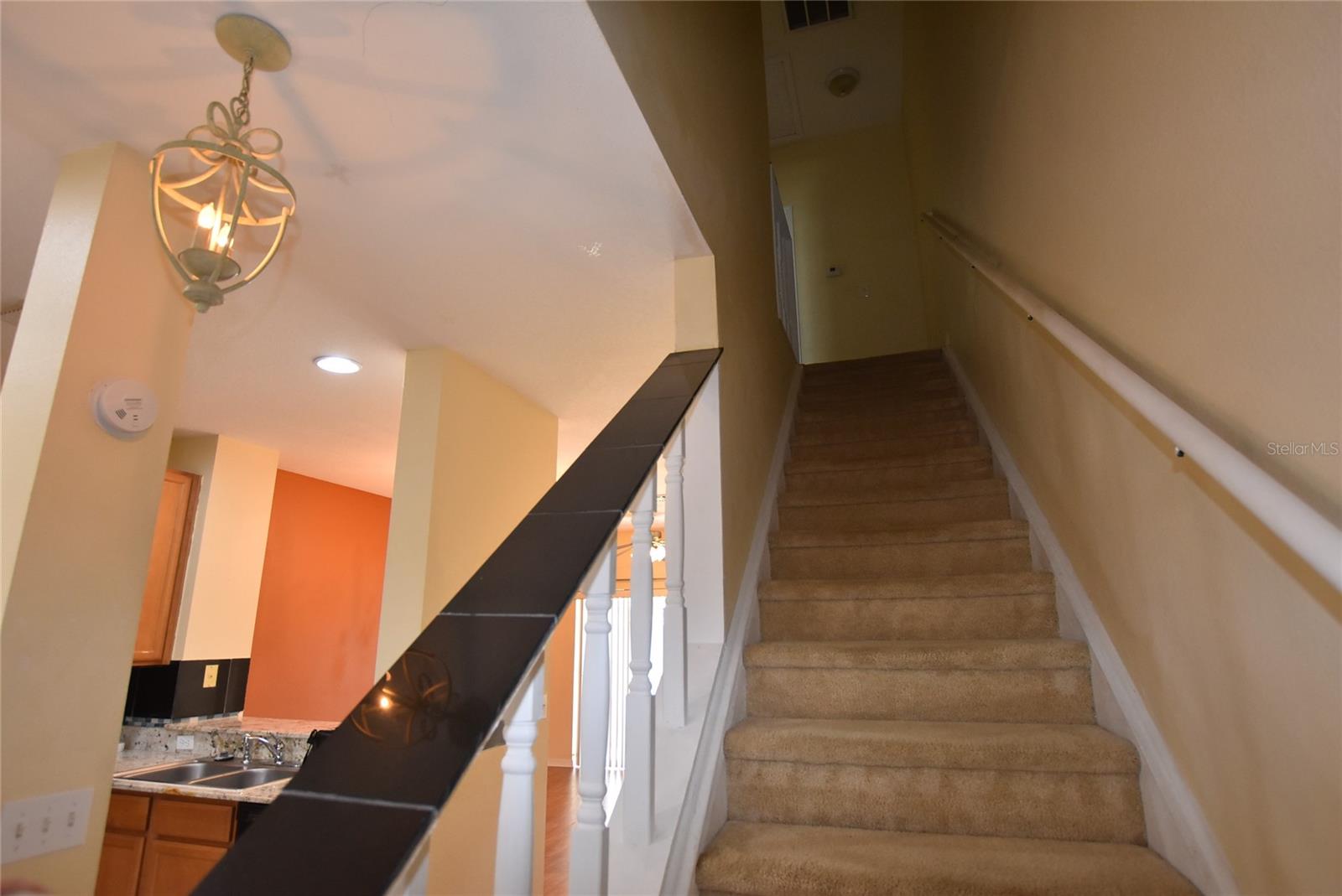 10832 Savannah Wood Drive, FL