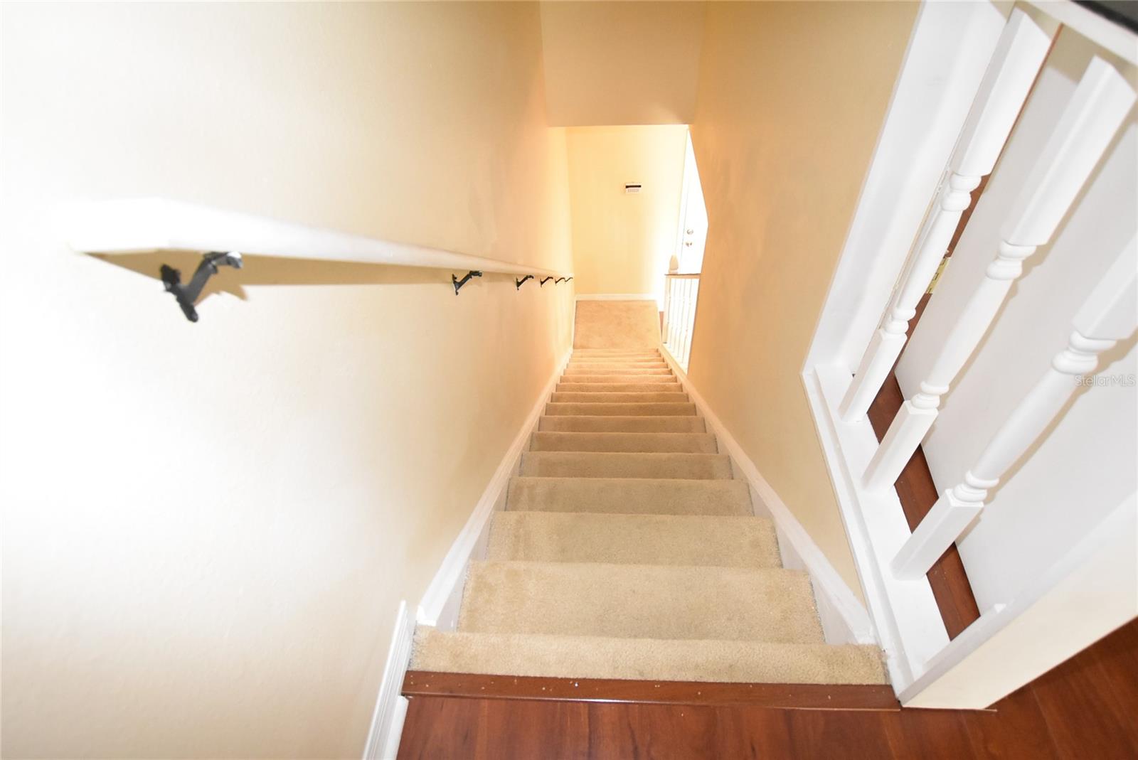 10832 Savannah Wood Drive, FL