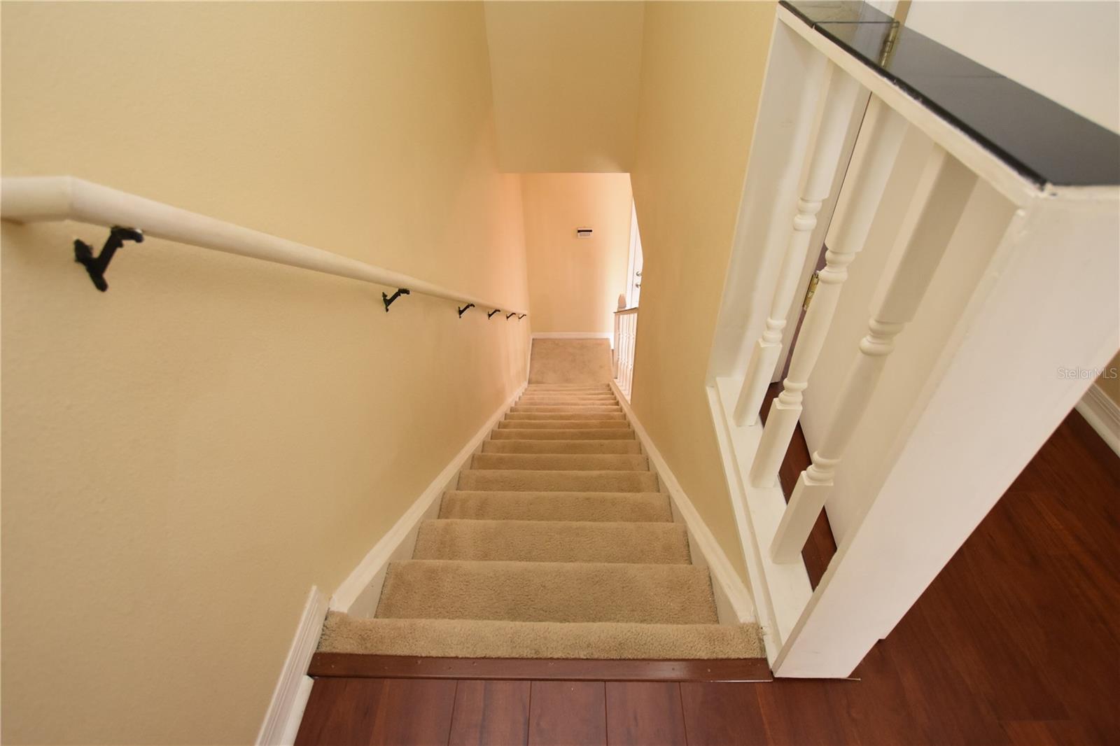 10832 Savannah Wood Drive, FL