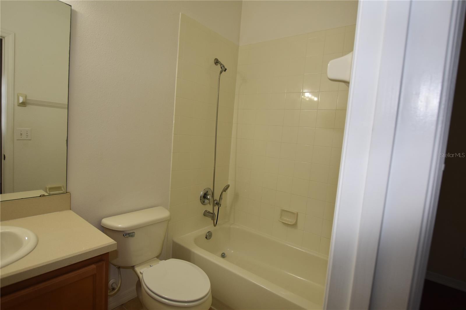 10832 Savannah Wood Drive, FL