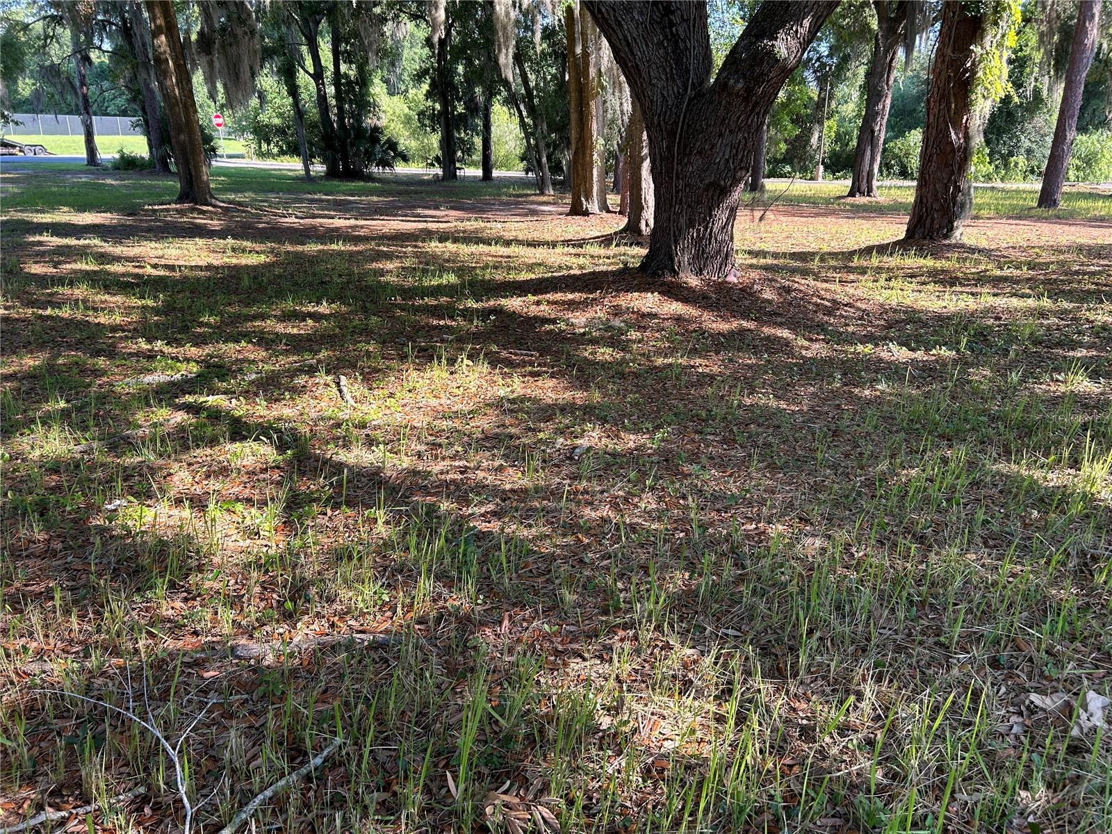 OCALA, FL