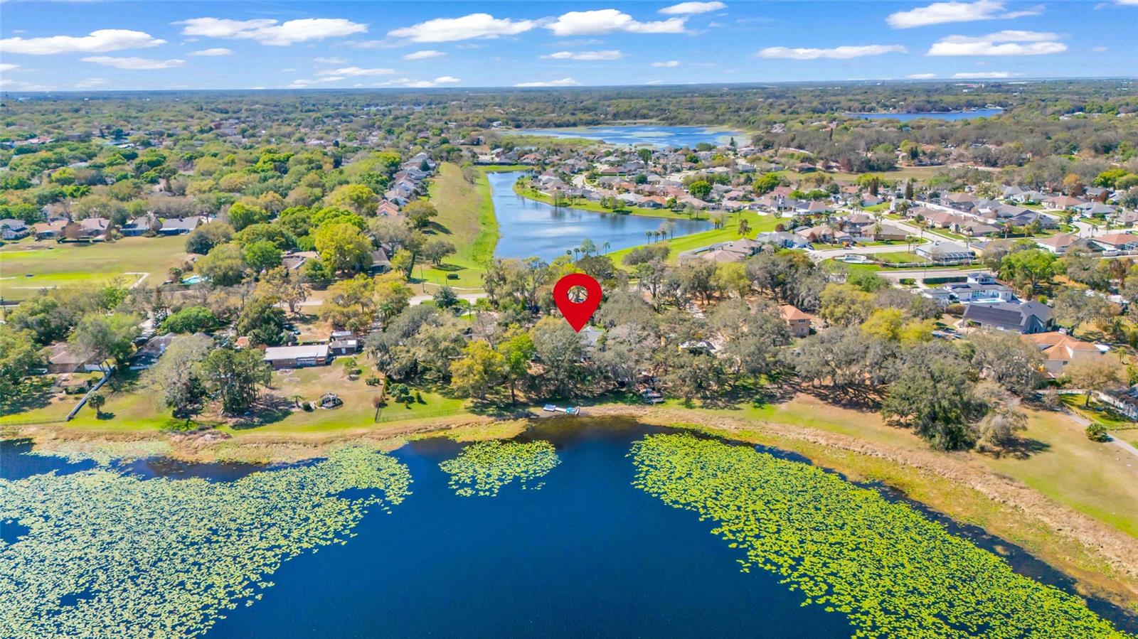 1217 Edgewood Ranch Road, FL
