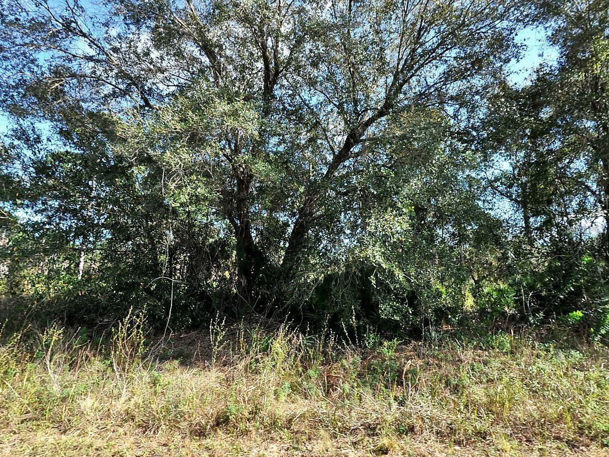 Longfellow Lane, FL