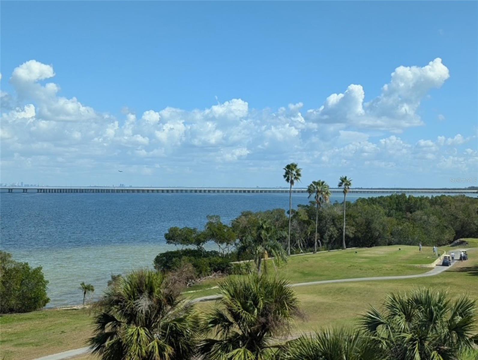 2616 Cove Cay Drive, FL