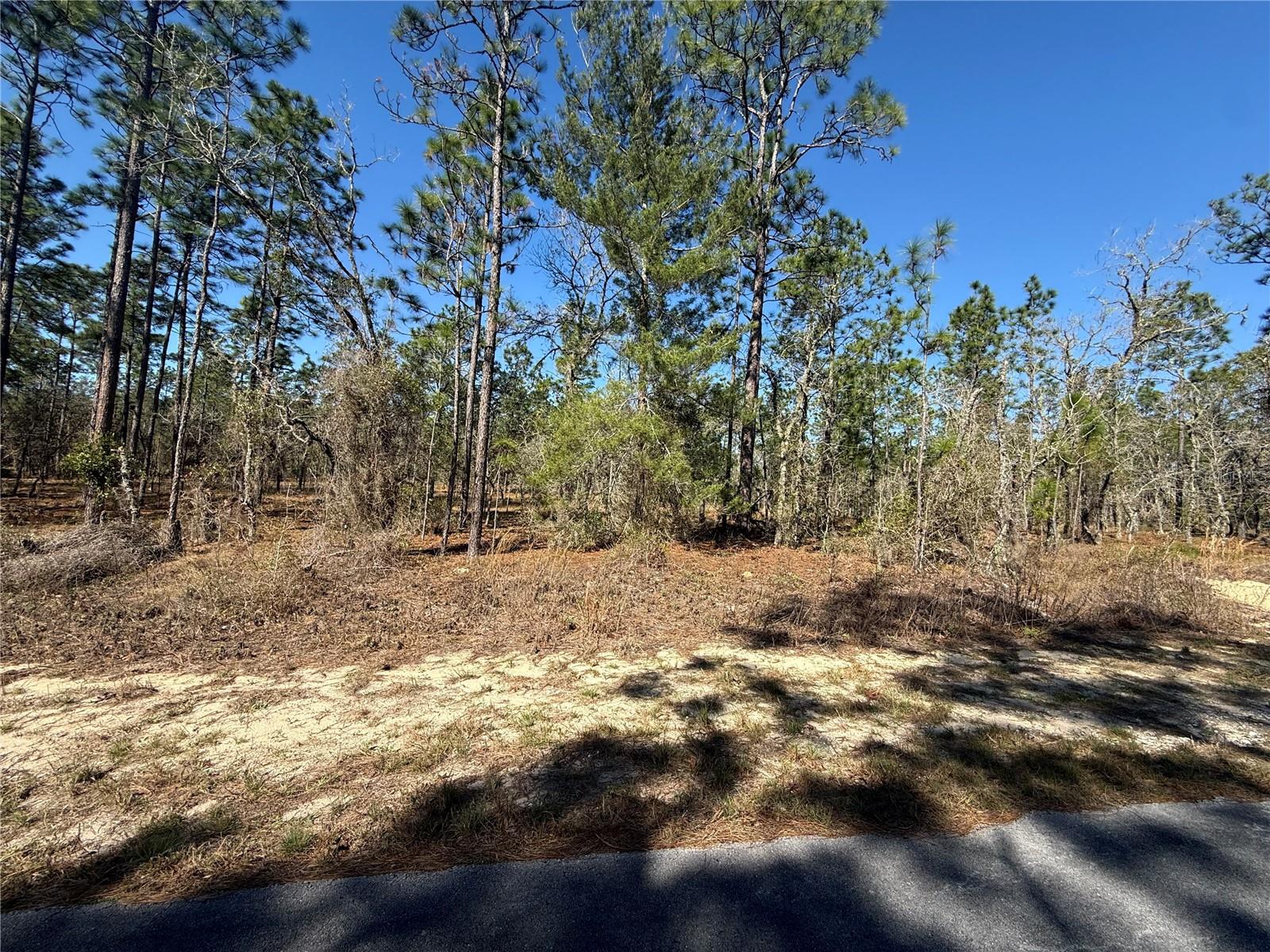 Lot 5 130 Court, FL