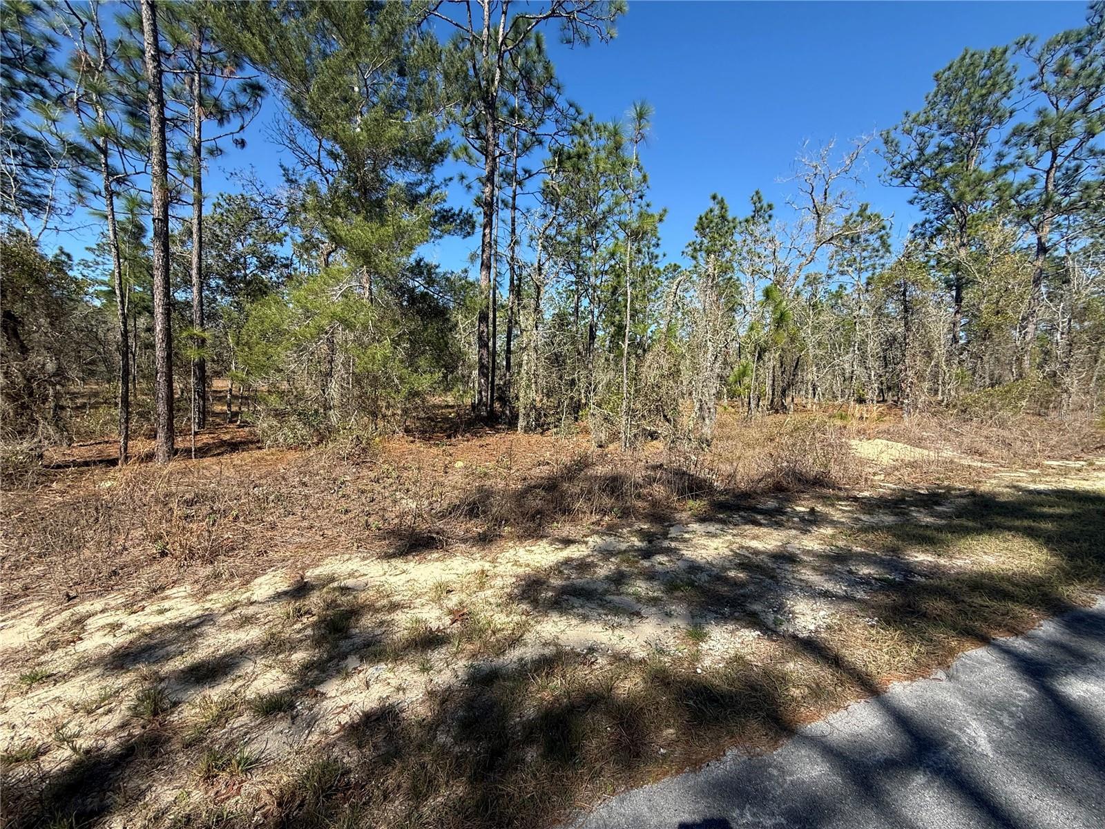 Lot 5 130 Court, FL