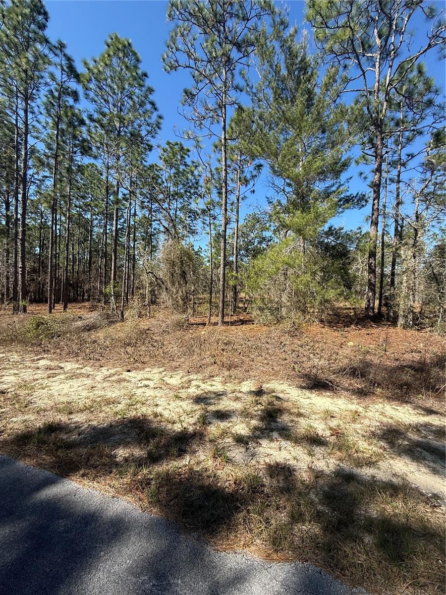Lot 5 130 Court, FL