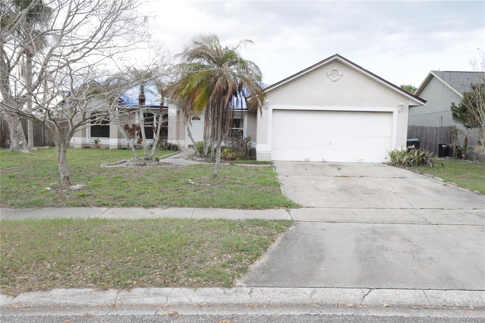 11346 Cypress Leaf Dr. Drive, FL