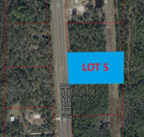 Tbd Us 19, FL