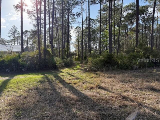 Tbd Us 19, FL
