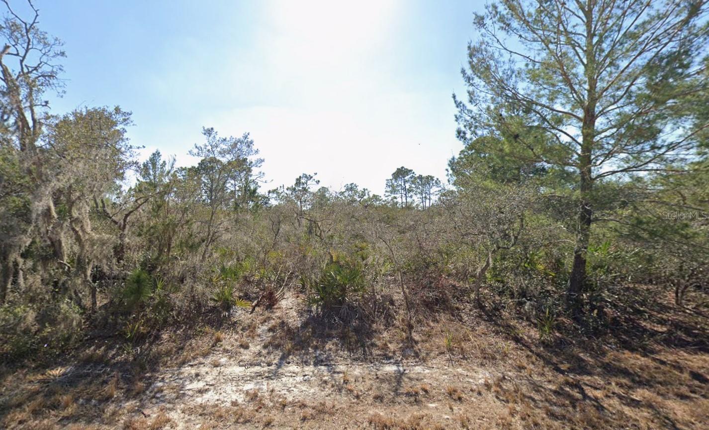 3235 Dahlia Drive, FL