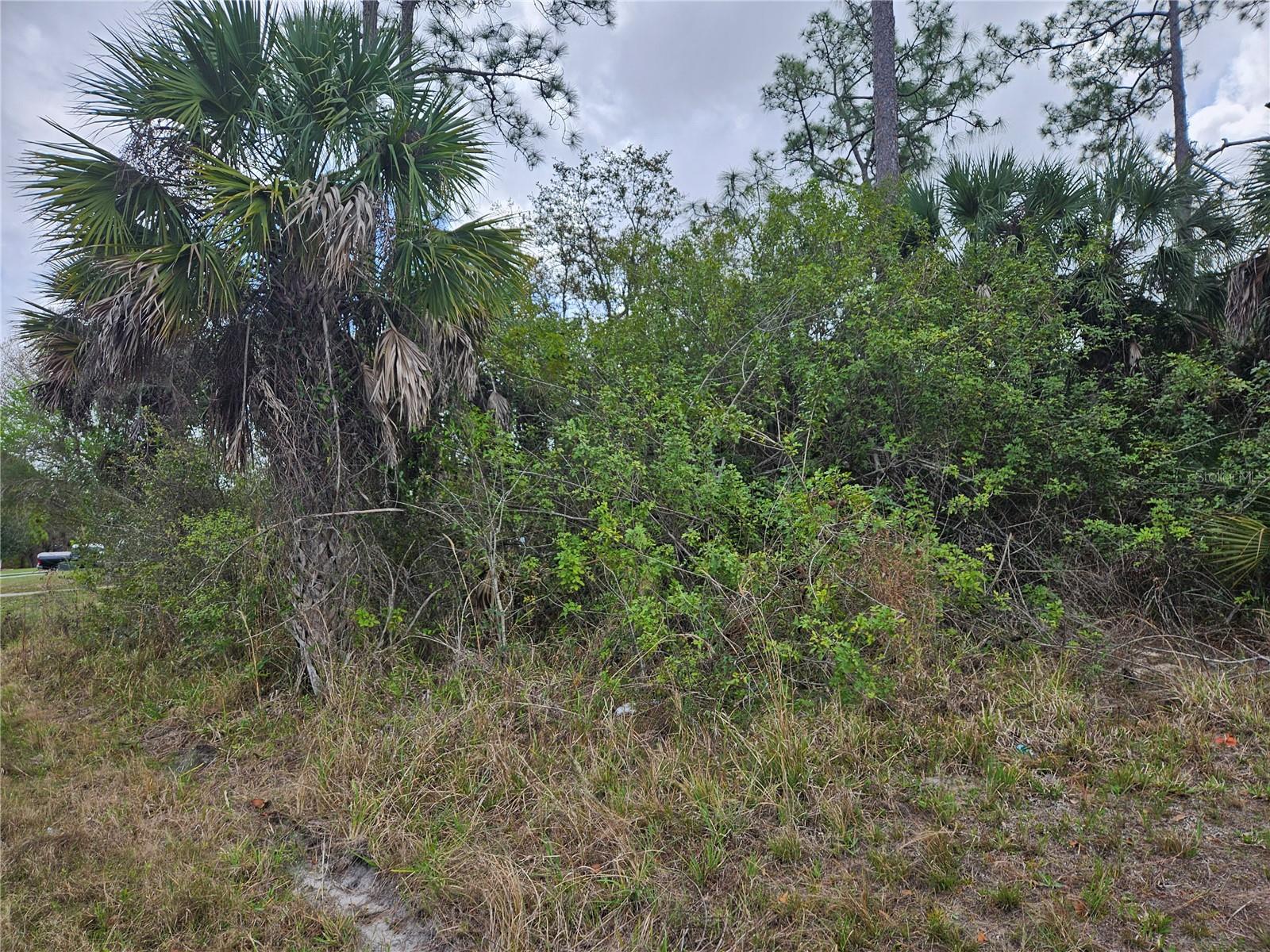 20339 Bachmann Boulevard, FL