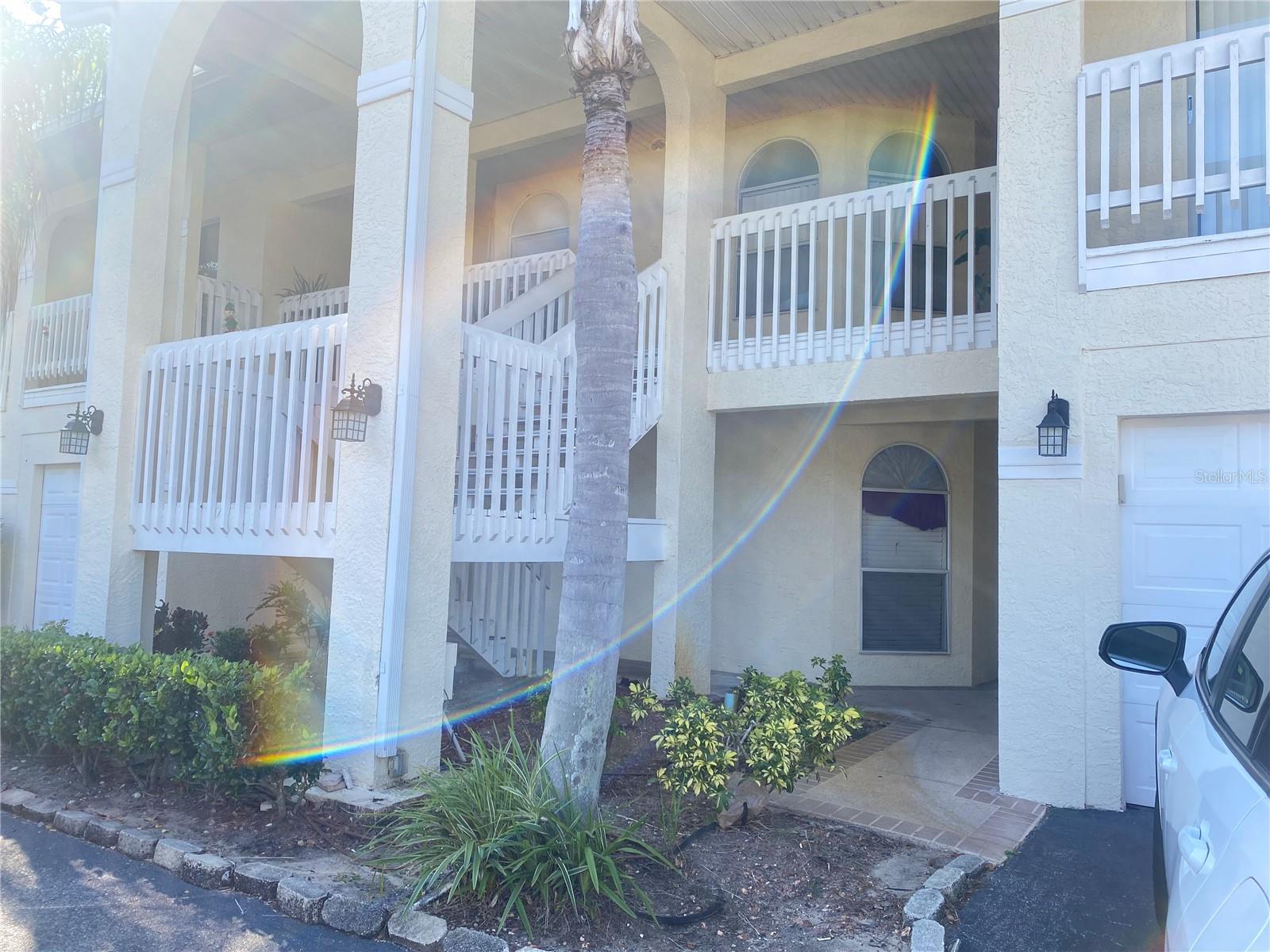3204 Sabal Palms Court, FL