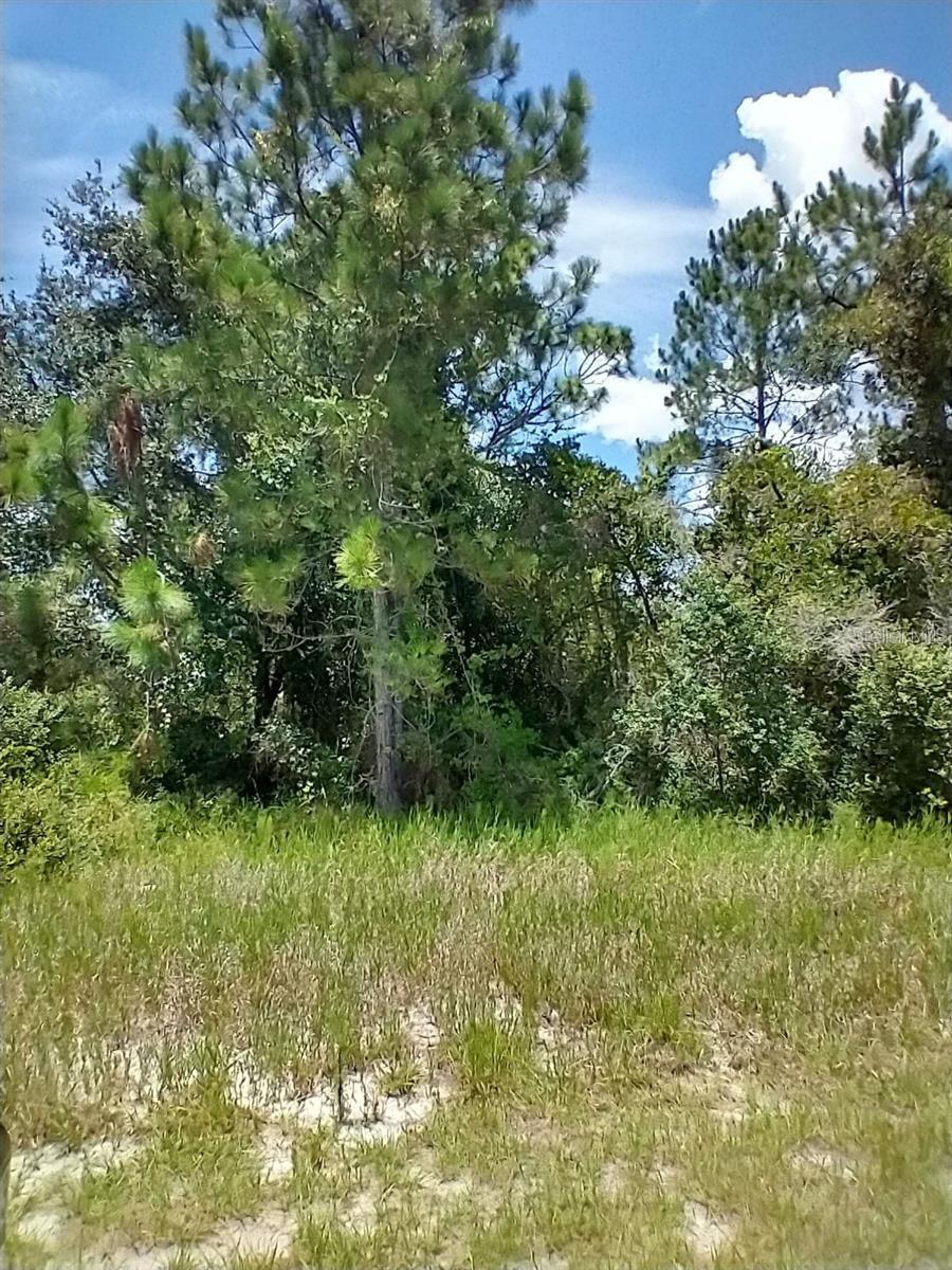 1322 Tallahassee Court, FL