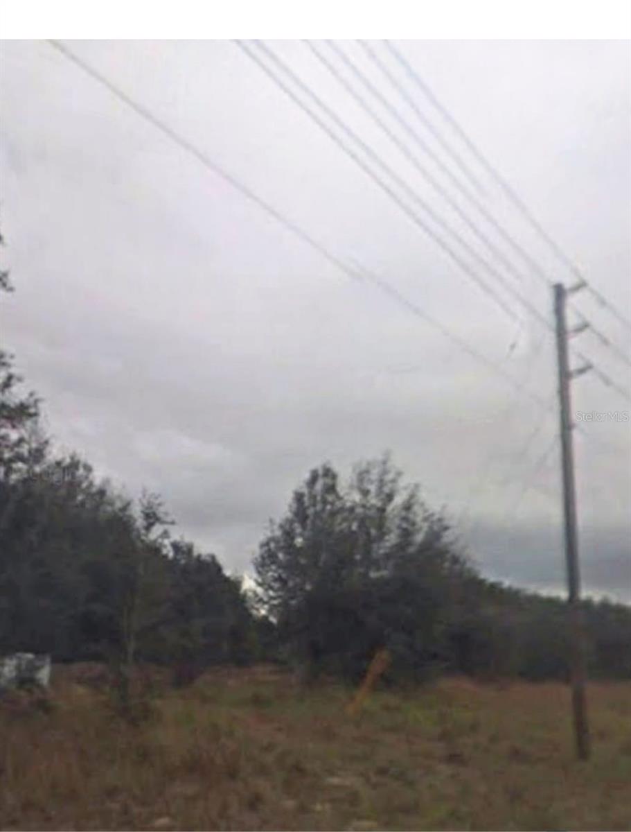 2109 Byron Street, FL