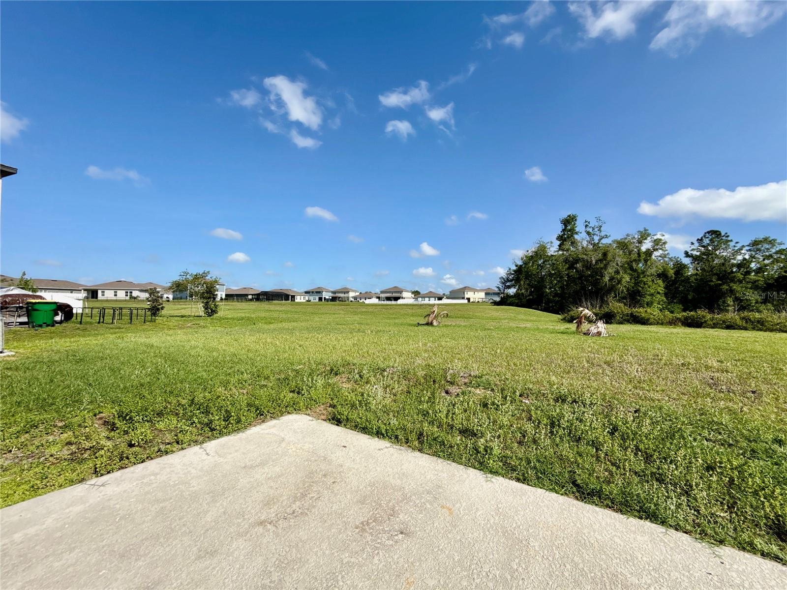 35657 Buttonweed Trail, FL
