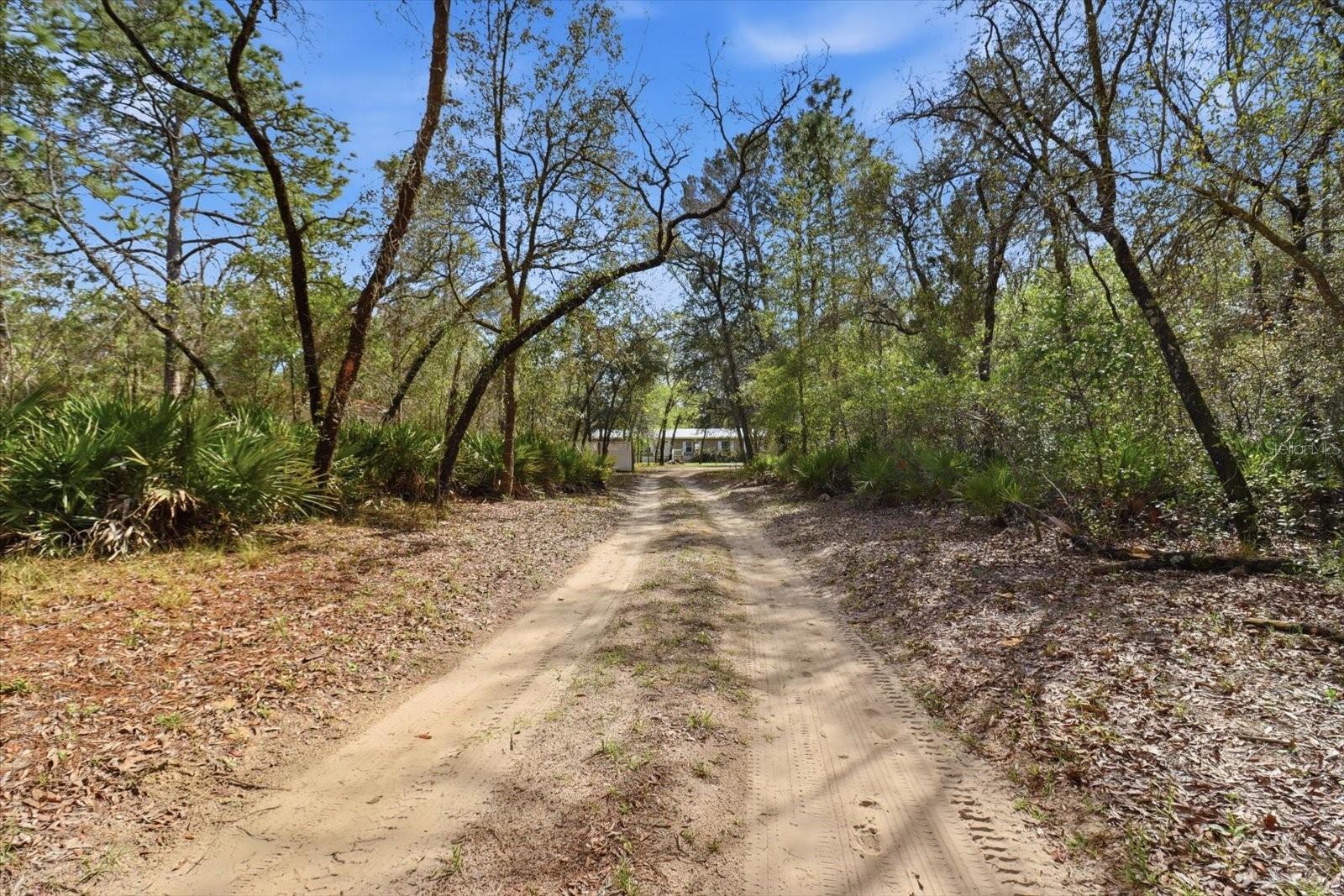 4950 Mockingbird Street, FL
