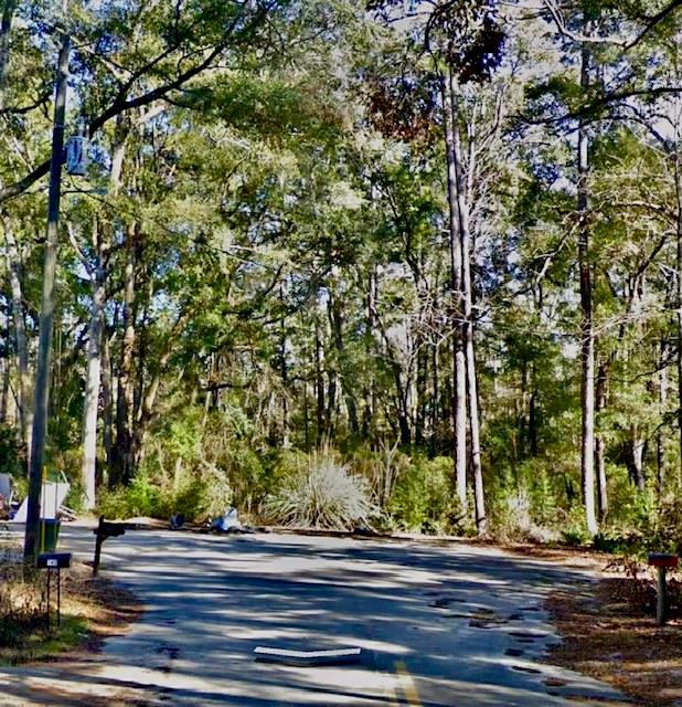 Chippewa Court, FL