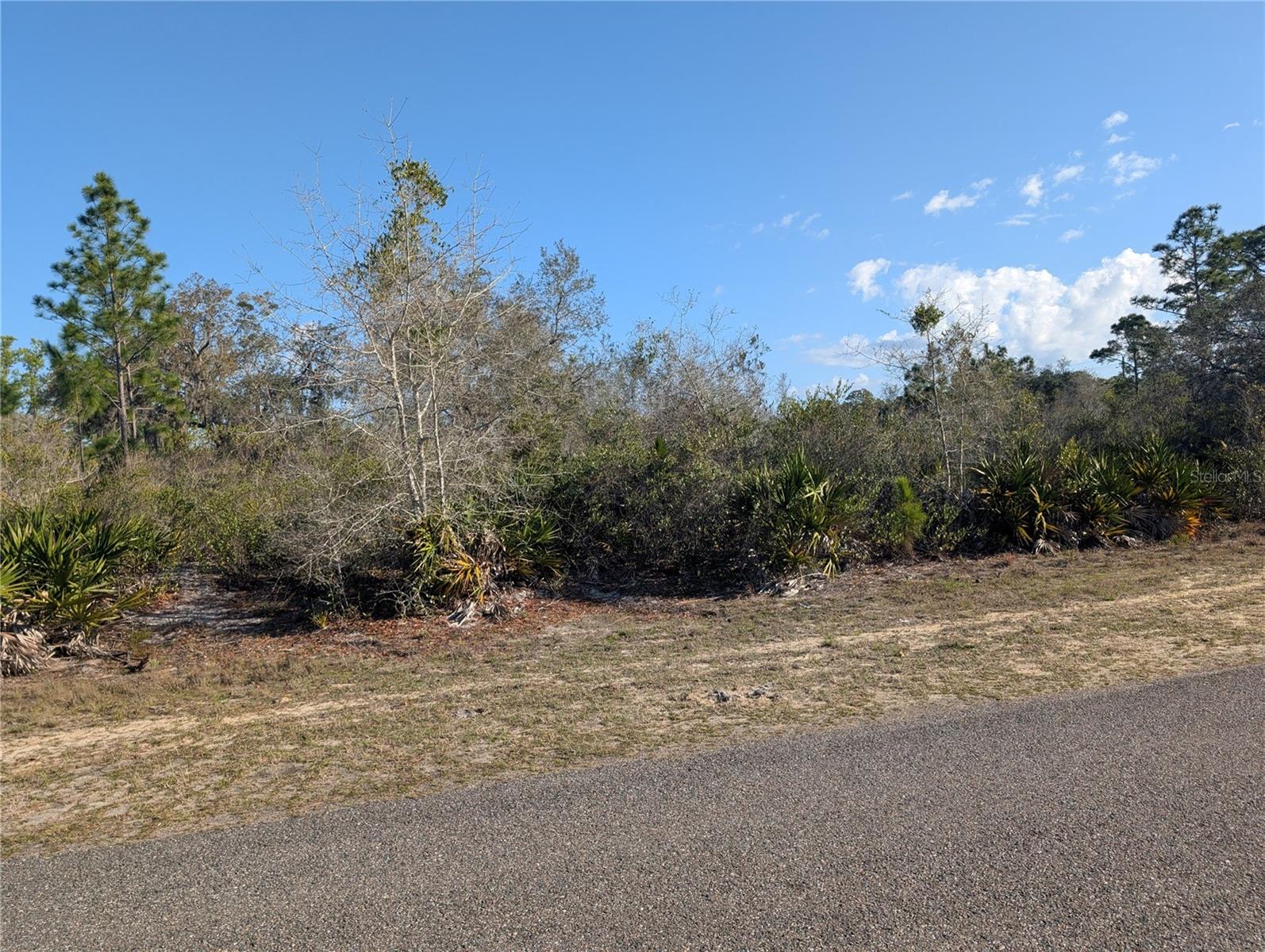 207 Valencia Drive, FL