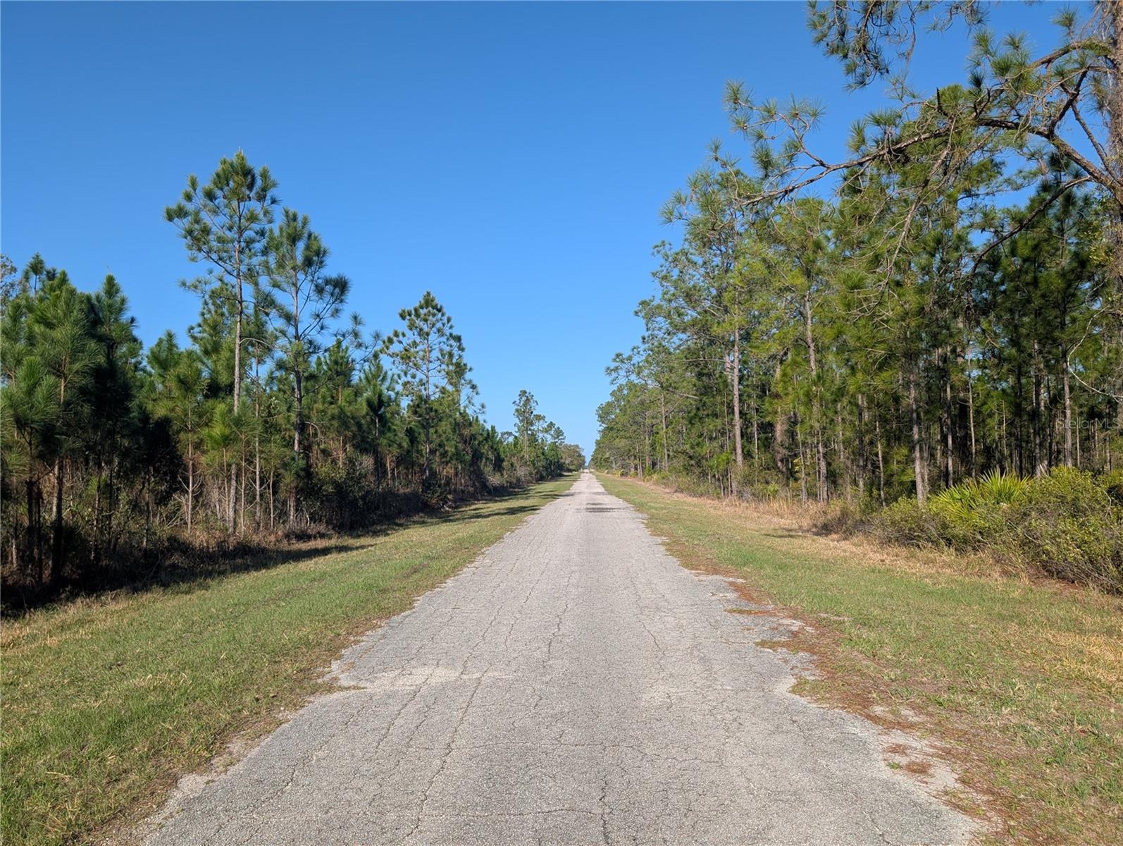 207 Valencia Drive, FL