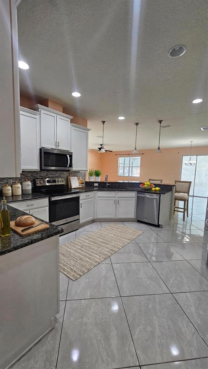 11114 Hartford Fern Drive, FL