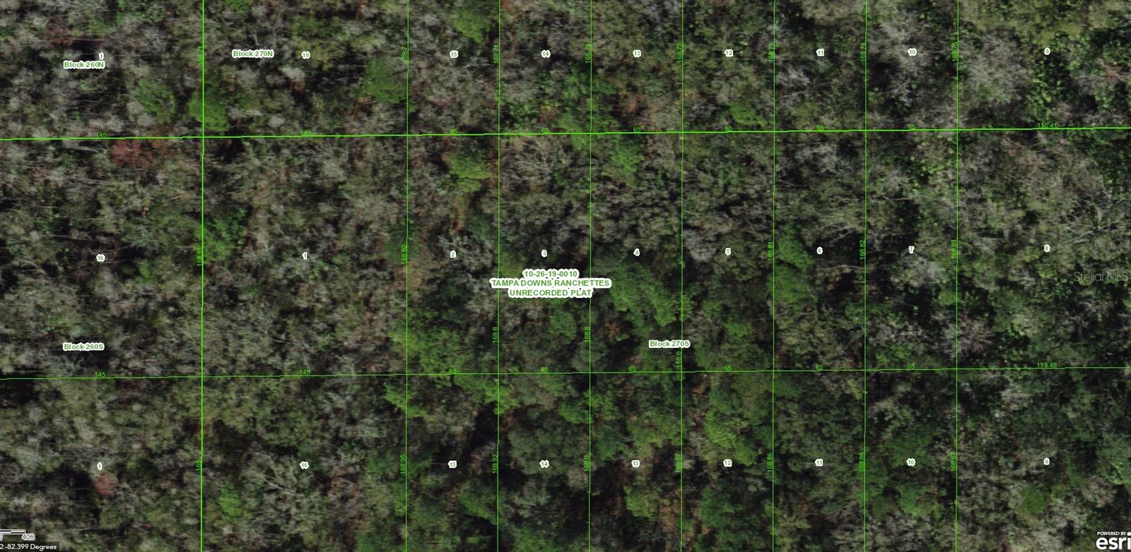 Unassigned, FL