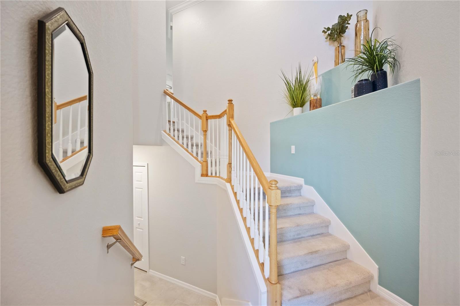 10817 Tarflower Drive, FL