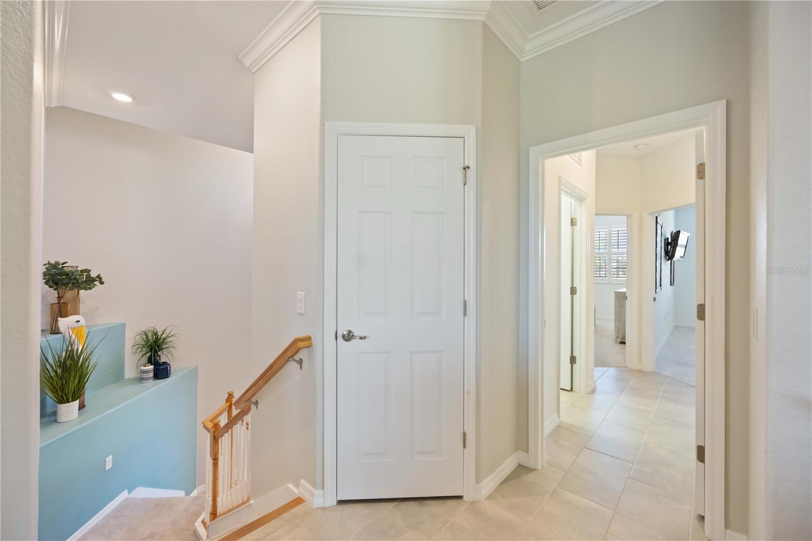 10817 Tarflower Drive, FL