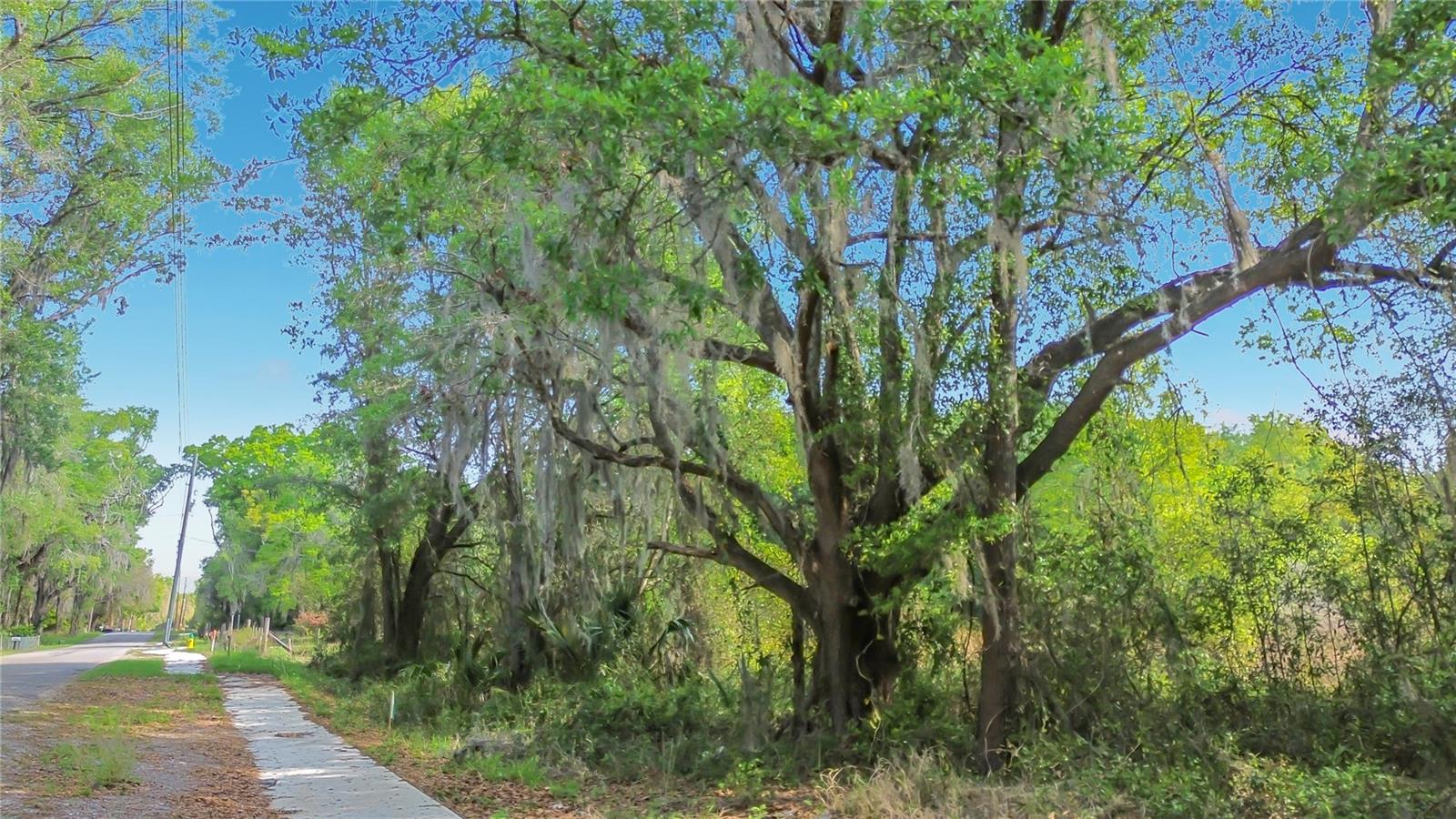 County Road 213, FL