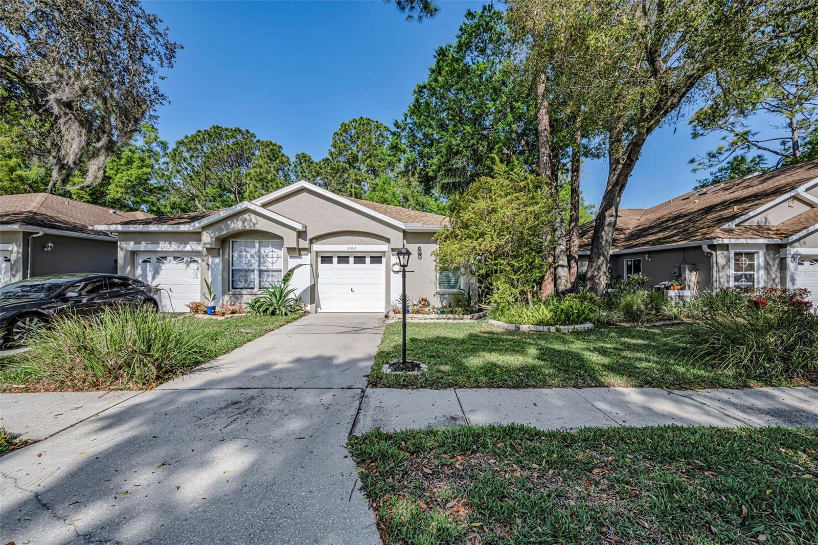 3164 Brooker Creek Way, FL