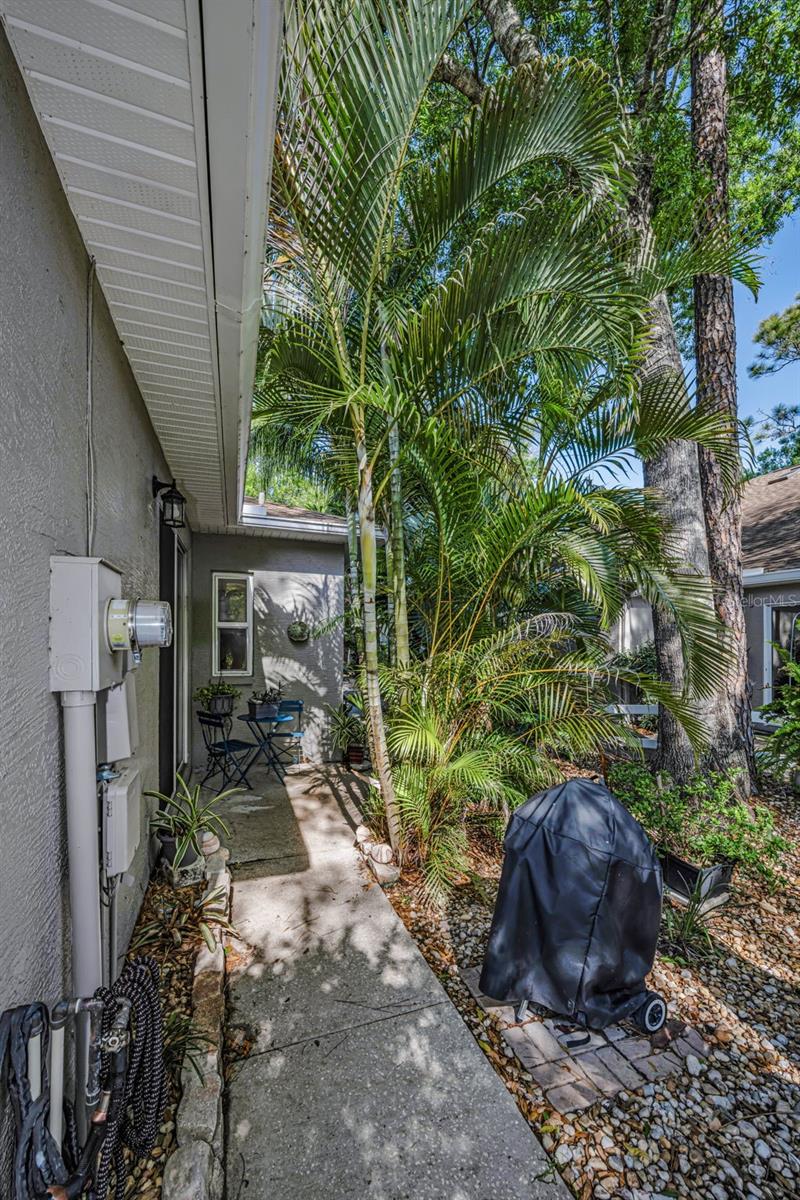 3164 Brooker Creek Way, FL