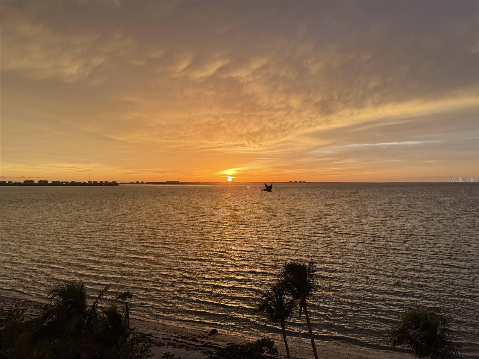 11 Sunset Drive, FL