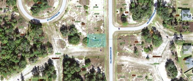 1318 Hillsborough Drive, FL