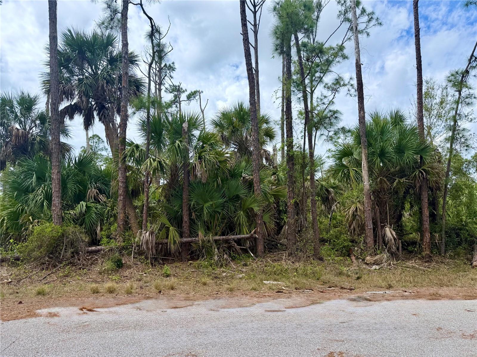 Apricola Road, FL