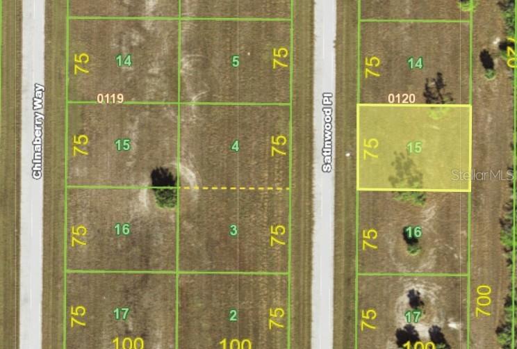 8 Satinwood Place, FL