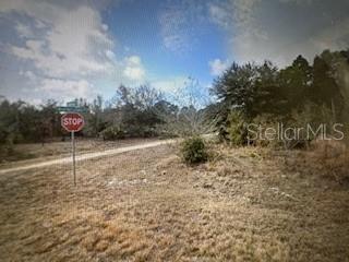 13274 Caloosa Drive, FL