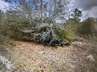 13274 Caloosa Drive, FL