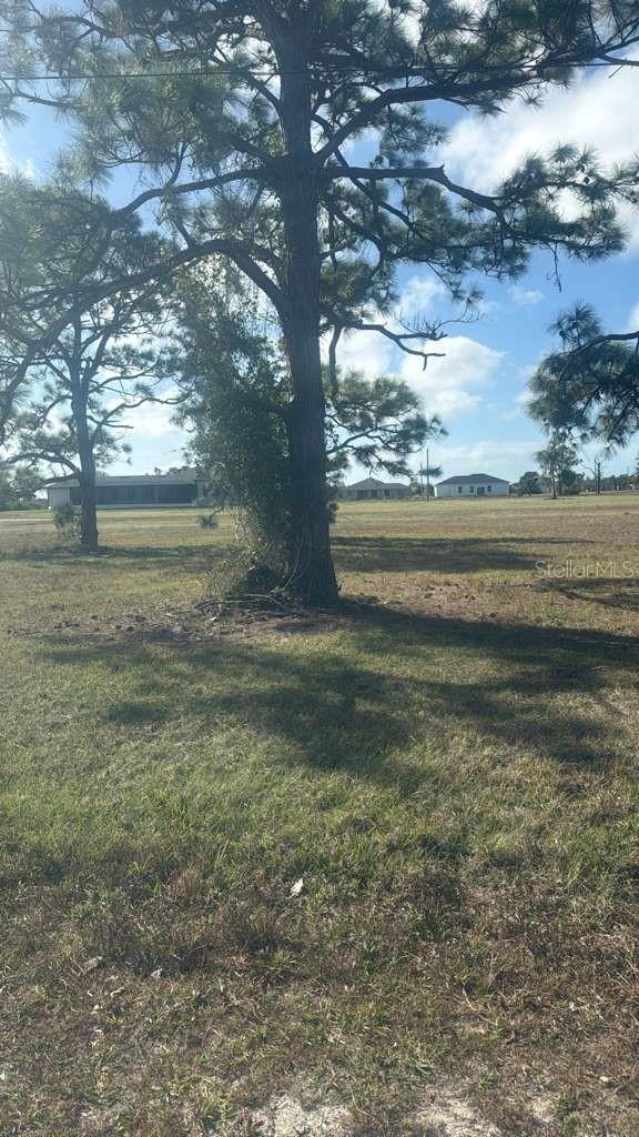 19 Carline Lane, FL