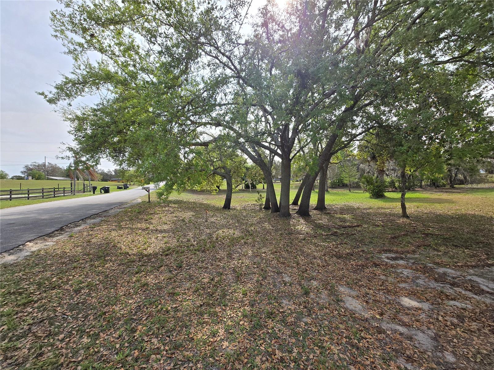 Petes Lane, FL