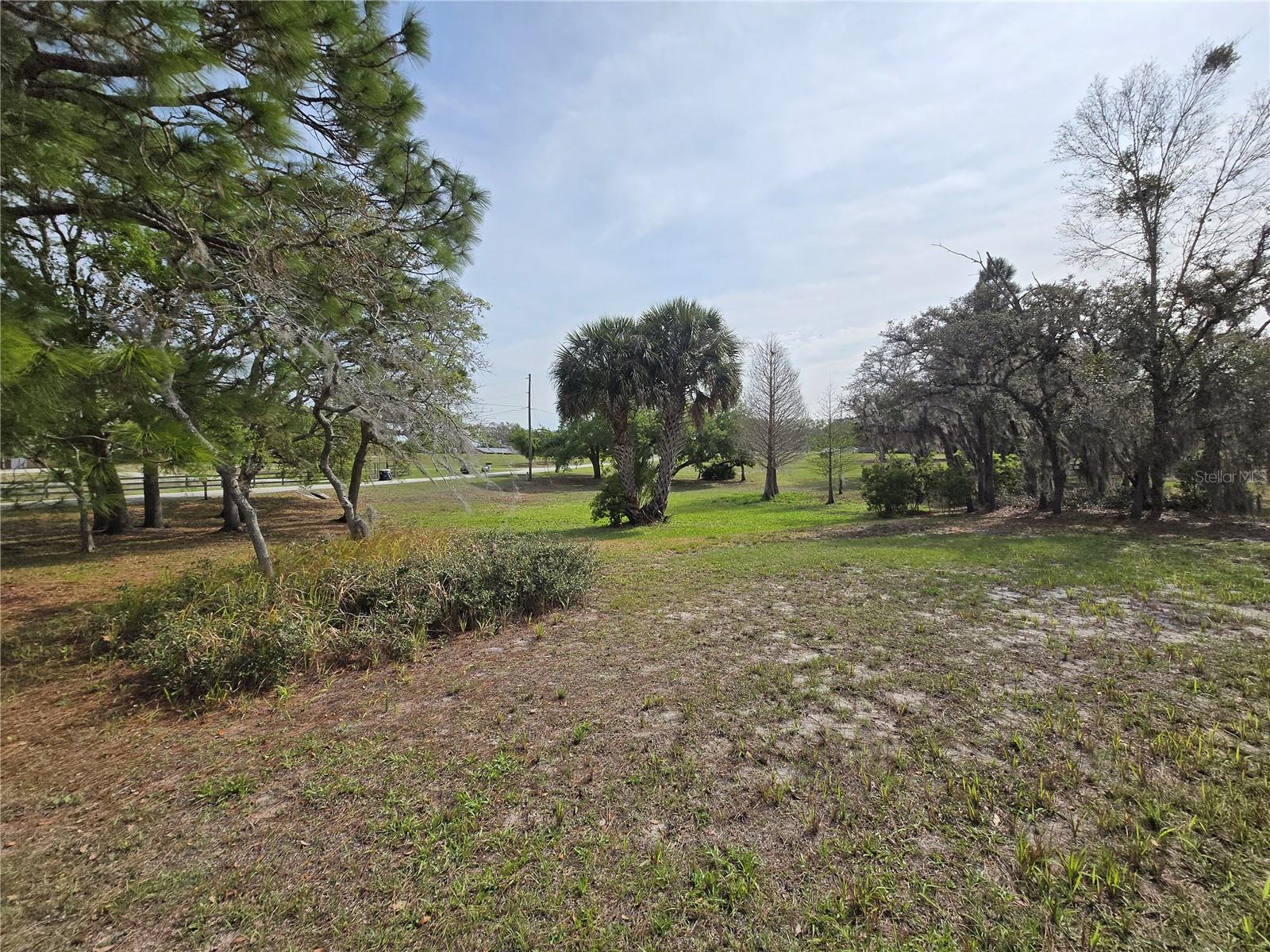 Petes Lane, FL