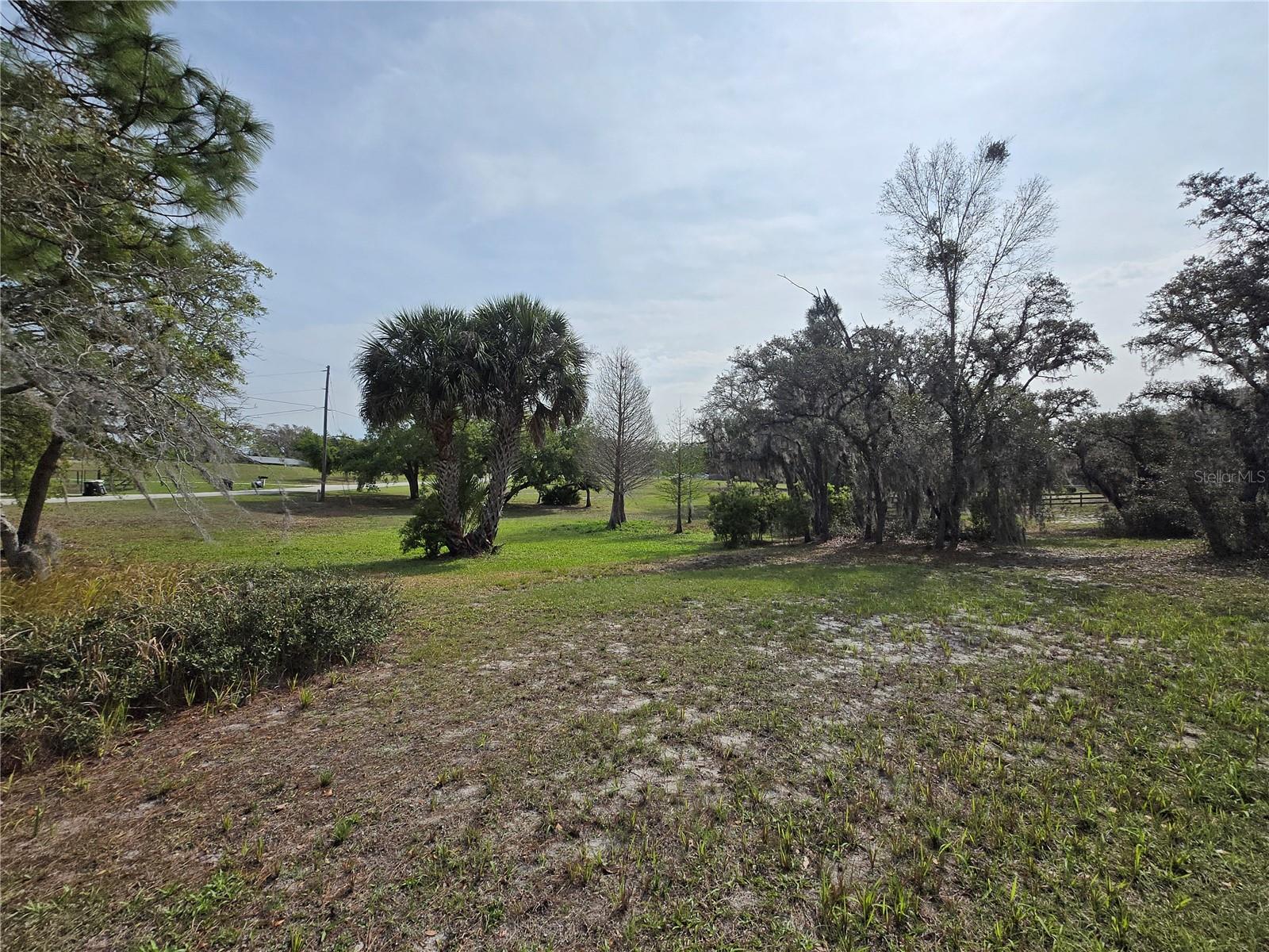 Petes Lane, FL