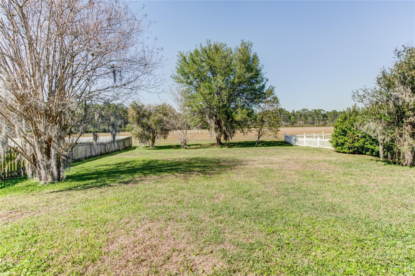 1551 Amaryllis Circle, FL