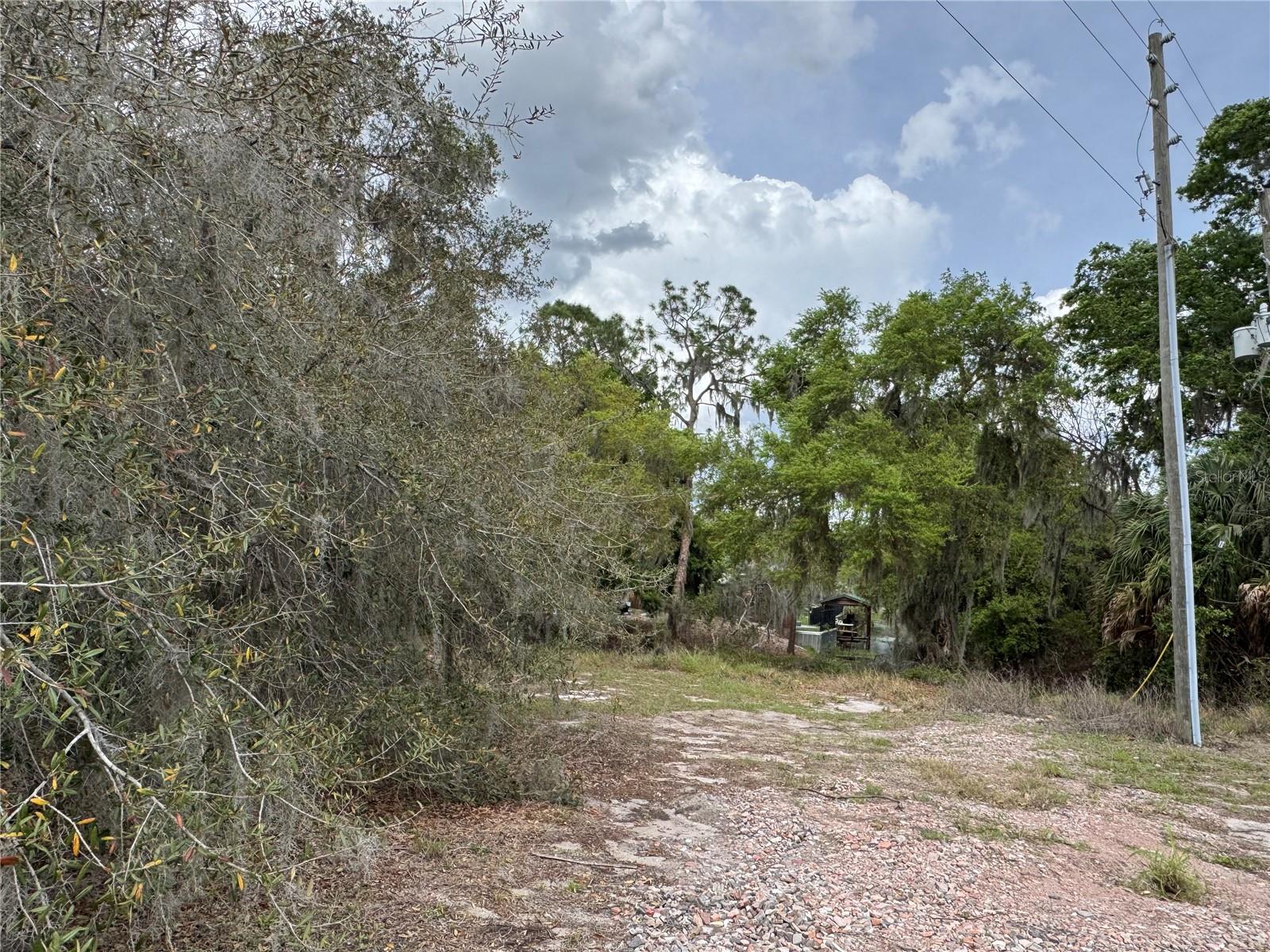 Cedar Circle, FL