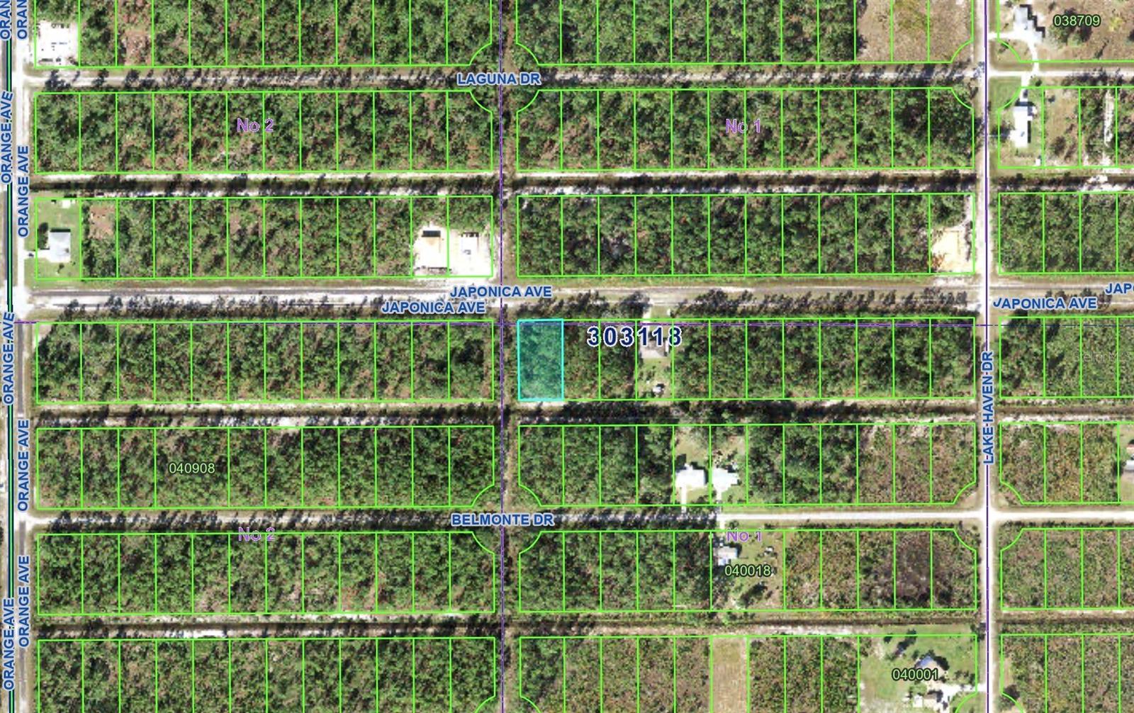 623 Japonica Avenue, FL