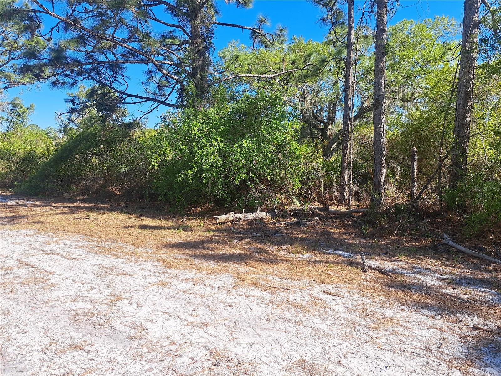 5 El Dorado Drive, FL