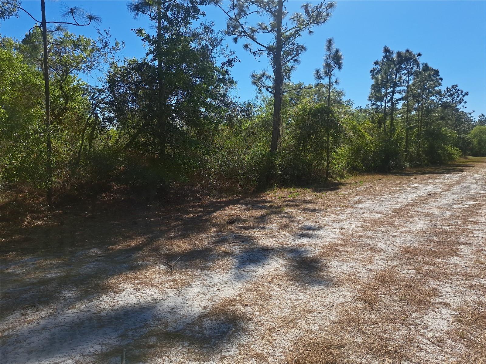 5 El Dorado Drive, FL