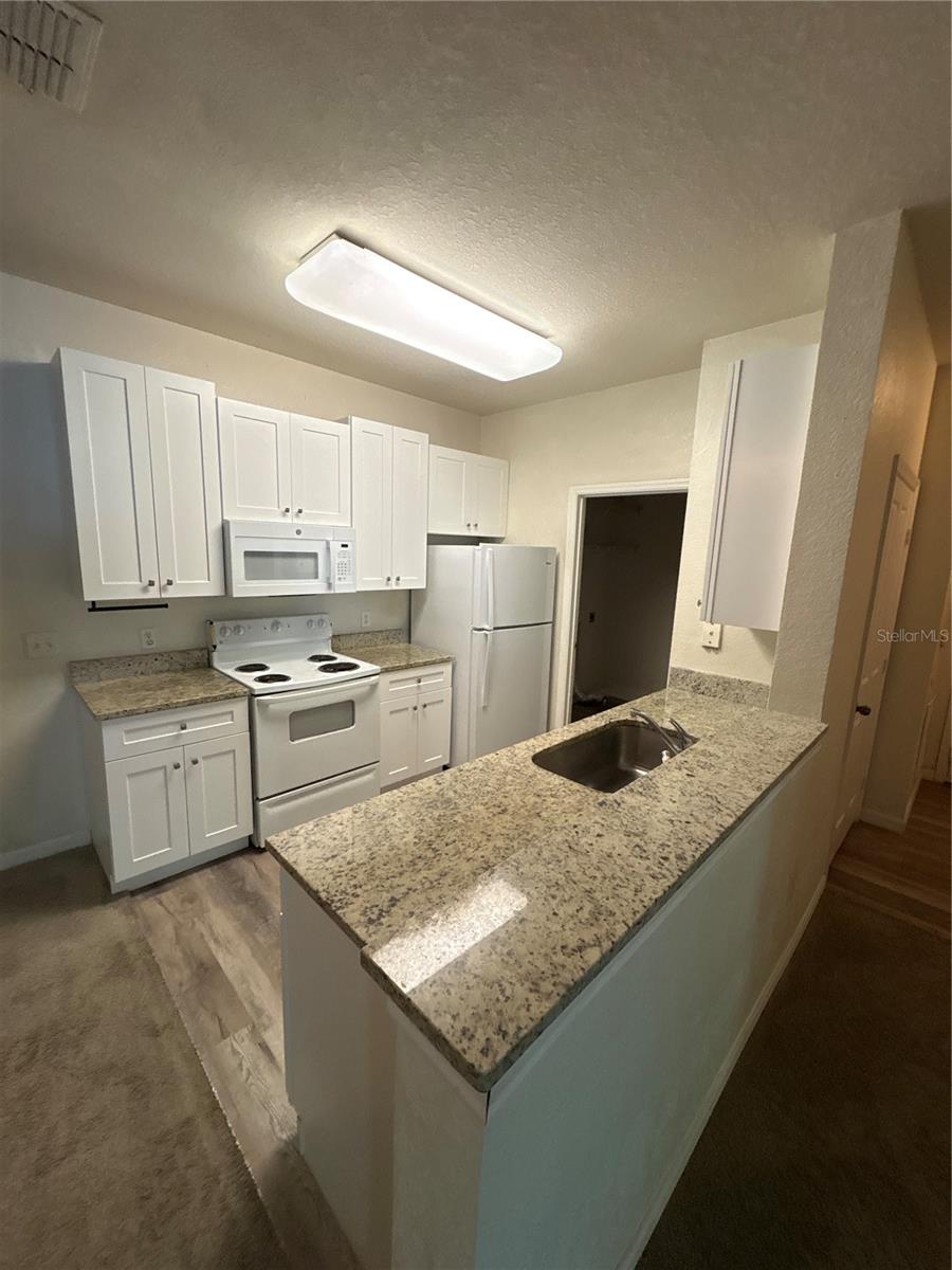 8009 Hemingway Circle, FL
