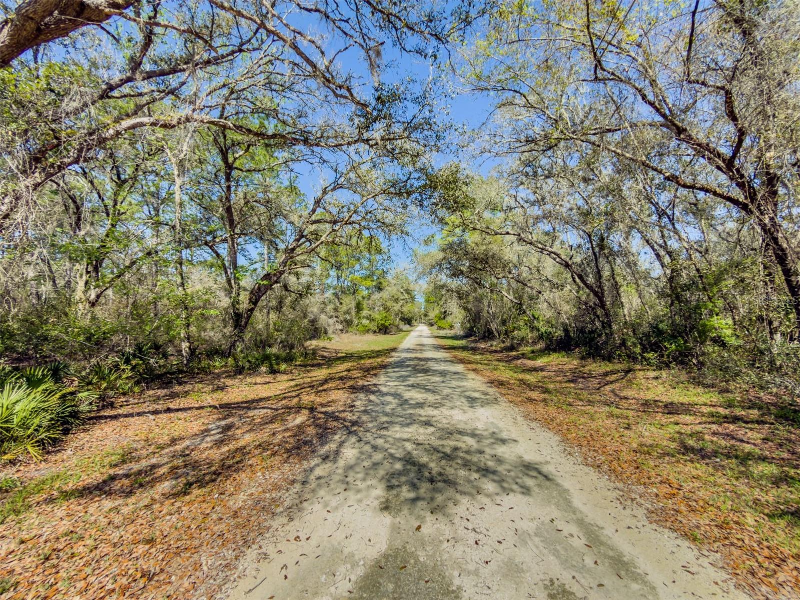 7252 Sonia Avenue, FL