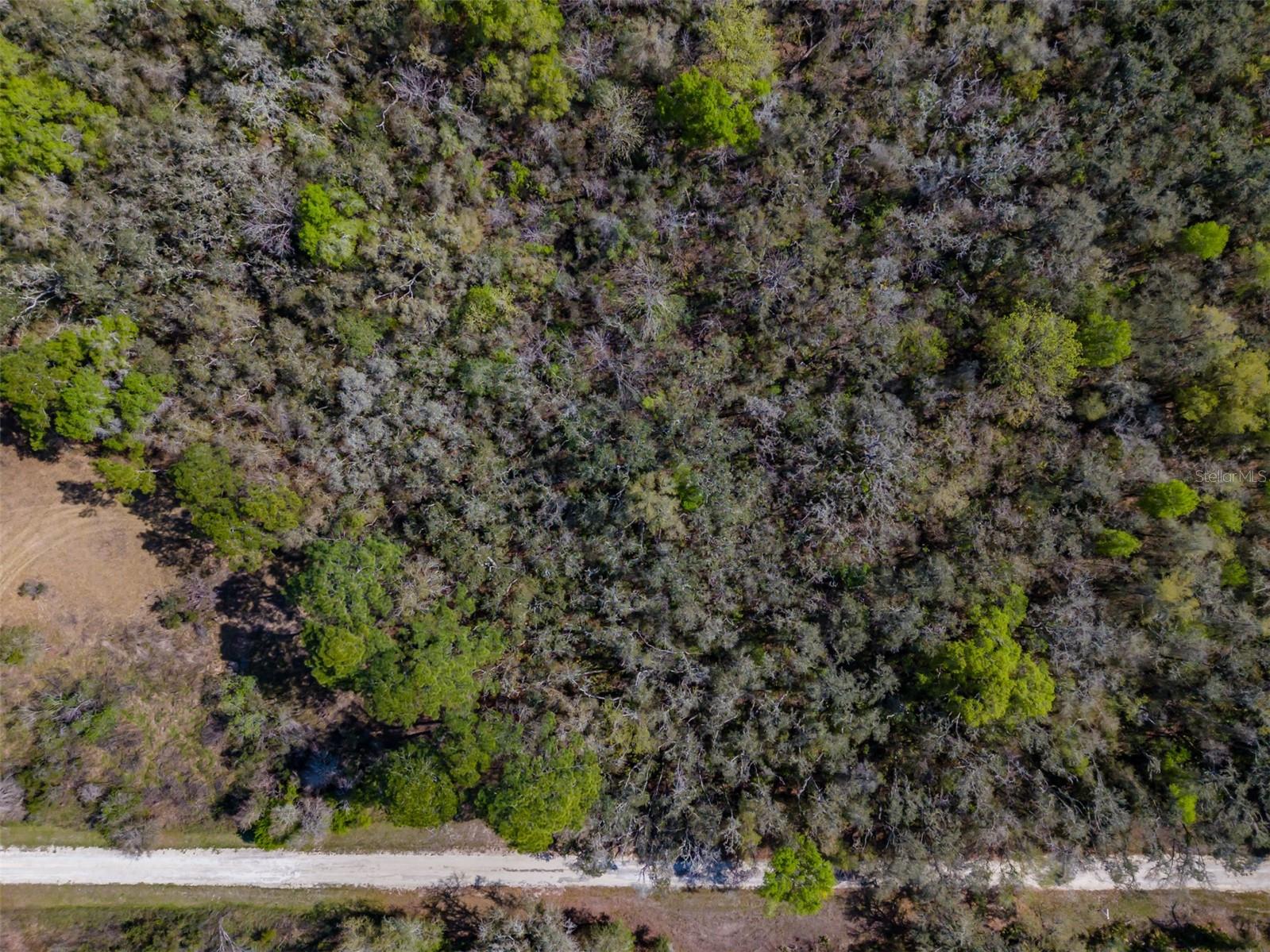 7252 Sonia Avenue, FL